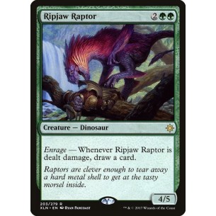 Raptor Squartamascella