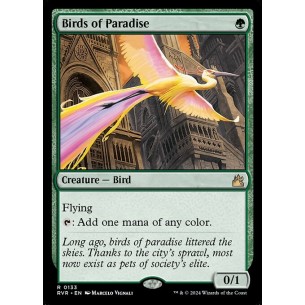 Uccelli del Paradiso