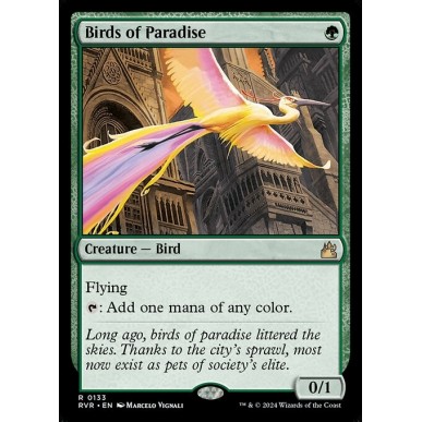 Uccelli del Paradiso