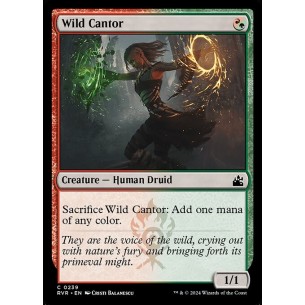 Wild Cantor
