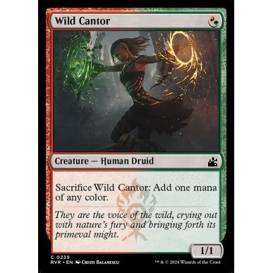 Wild Cantor