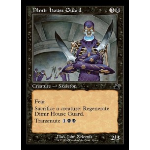 Domoguardia Dimir