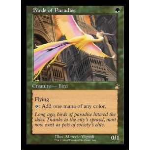 Birds of Paradise