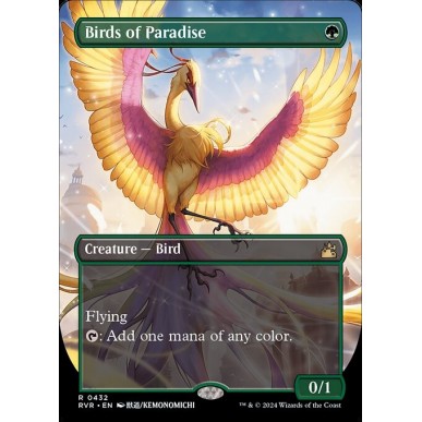 Birds of Paradise