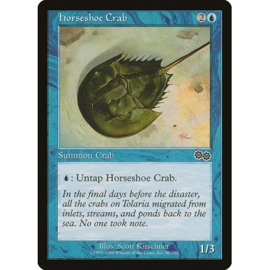 Horseshoe Crab