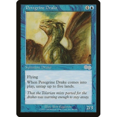 Peregrine Drake