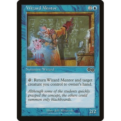 Wizard Mentor