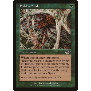 Hidden Spider