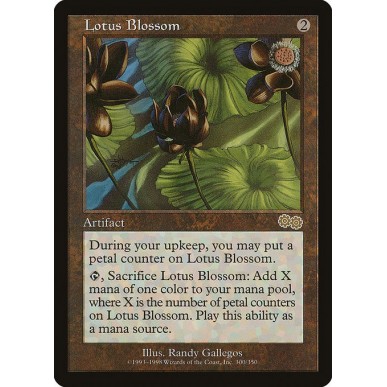 Bocciolo di Loto