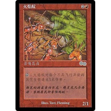 Fire Ants