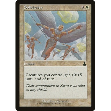 Solidarity