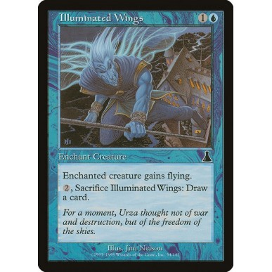 Illuminated Wings