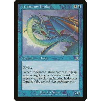Iridescent Drake