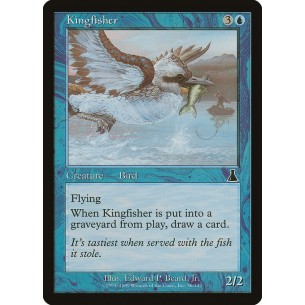 Kingfisher