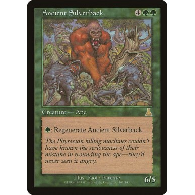 Ancient Silverback