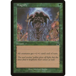 Magnify