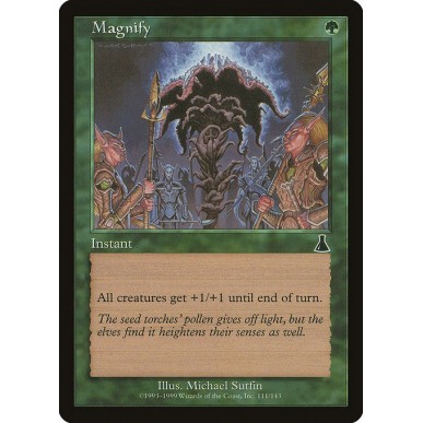 Magnify