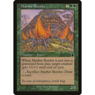 Marker Beetles