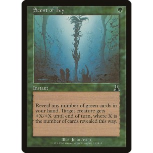 Scent of Ivy