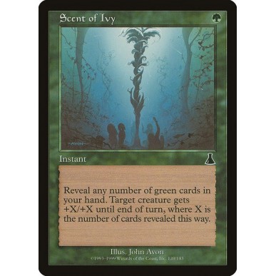 Scent of Ivy
