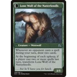 Eremita dei Poggi... 2