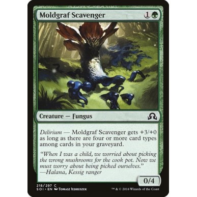 Moldgraf Scavenger