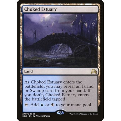 Choked Estuary