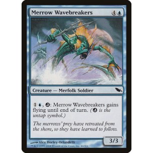 Spezzaonde Merrow