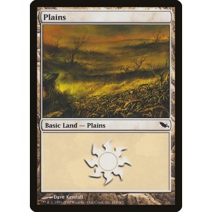 Plains