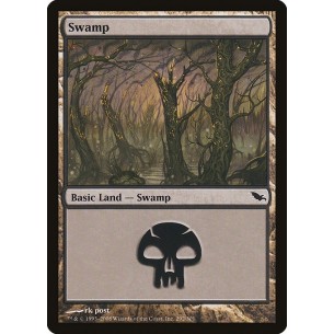 Swamp