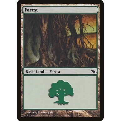 Forest