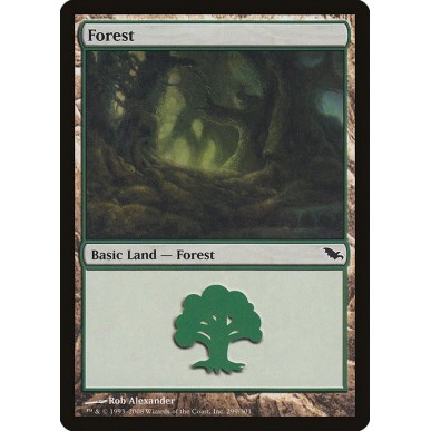Forest