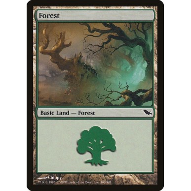 Forest