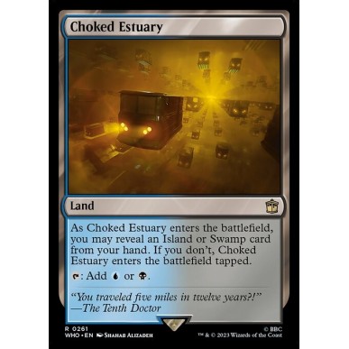 Choked Estuary