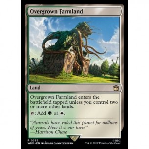 Overgrown Farmland