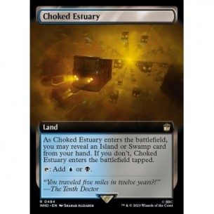 Choked Estuary