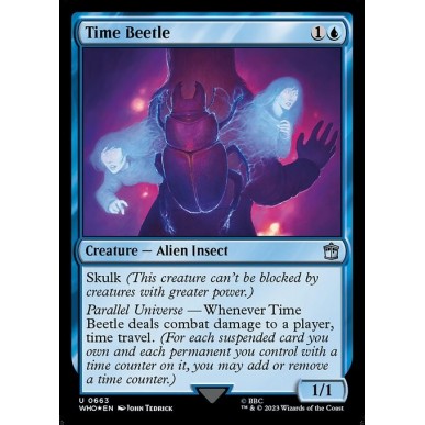 Time Beetle
