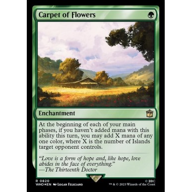 Carpet of Flowers