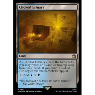 Choked Estuary