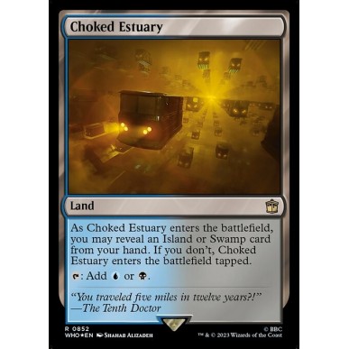 Choked Estuary