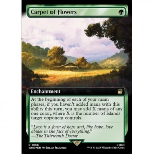 Carpet of Flowers