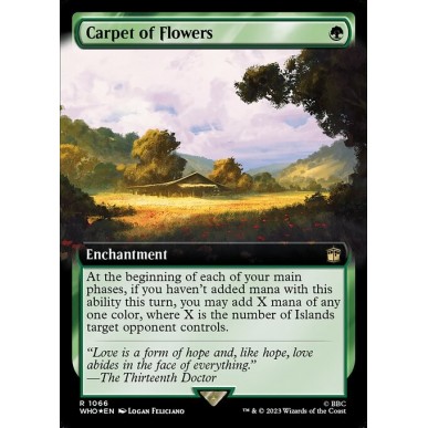 Carpet of Flowers