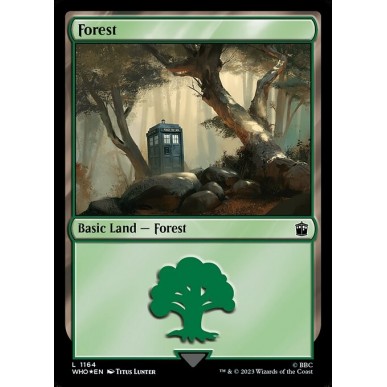 Forest
