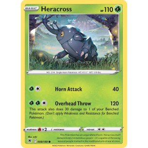 Heracross