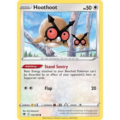 Hoothoot
