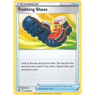 Trekking Shoes
