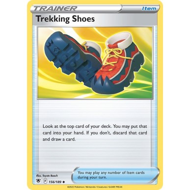 Trekking Shoes