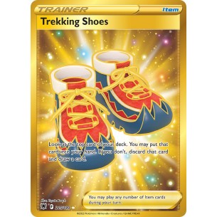 Trekking Shoes