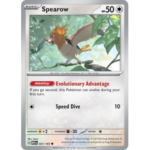 Spearow