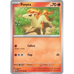 Ponyta